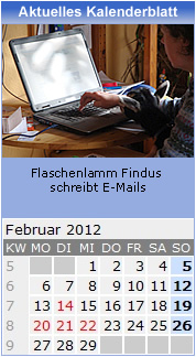 Kalender