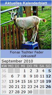 Kalender