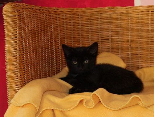 Lilith